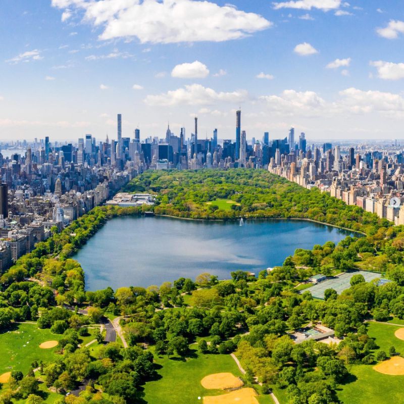 Vue sur Central Park et New York City