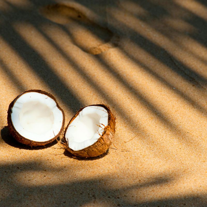 Noix de coco 