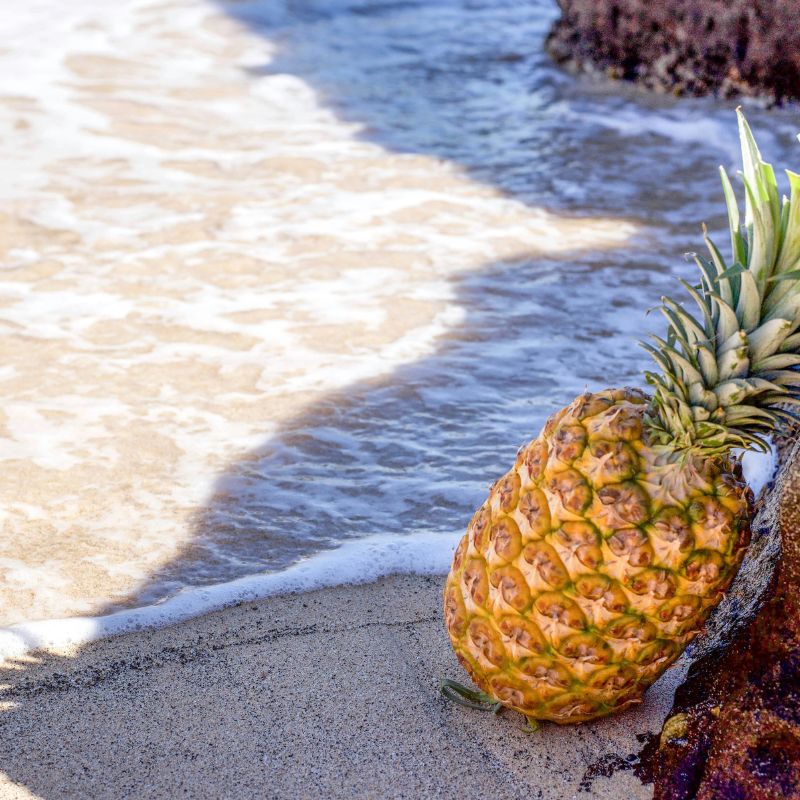L'ananas de l'île de la Reunion est réputé pour être le meilleur