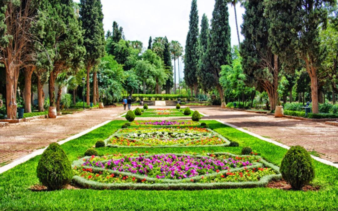 Voyage Oujda Maroc