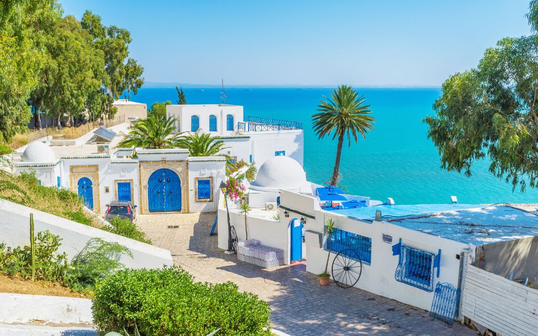 Voyage Tunis Tunisie
