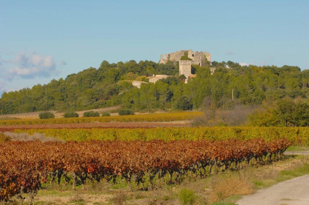 Château de Montaud