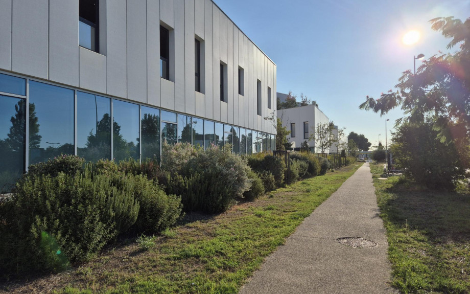 Locaux commerciaux Aéroport de Montpellier