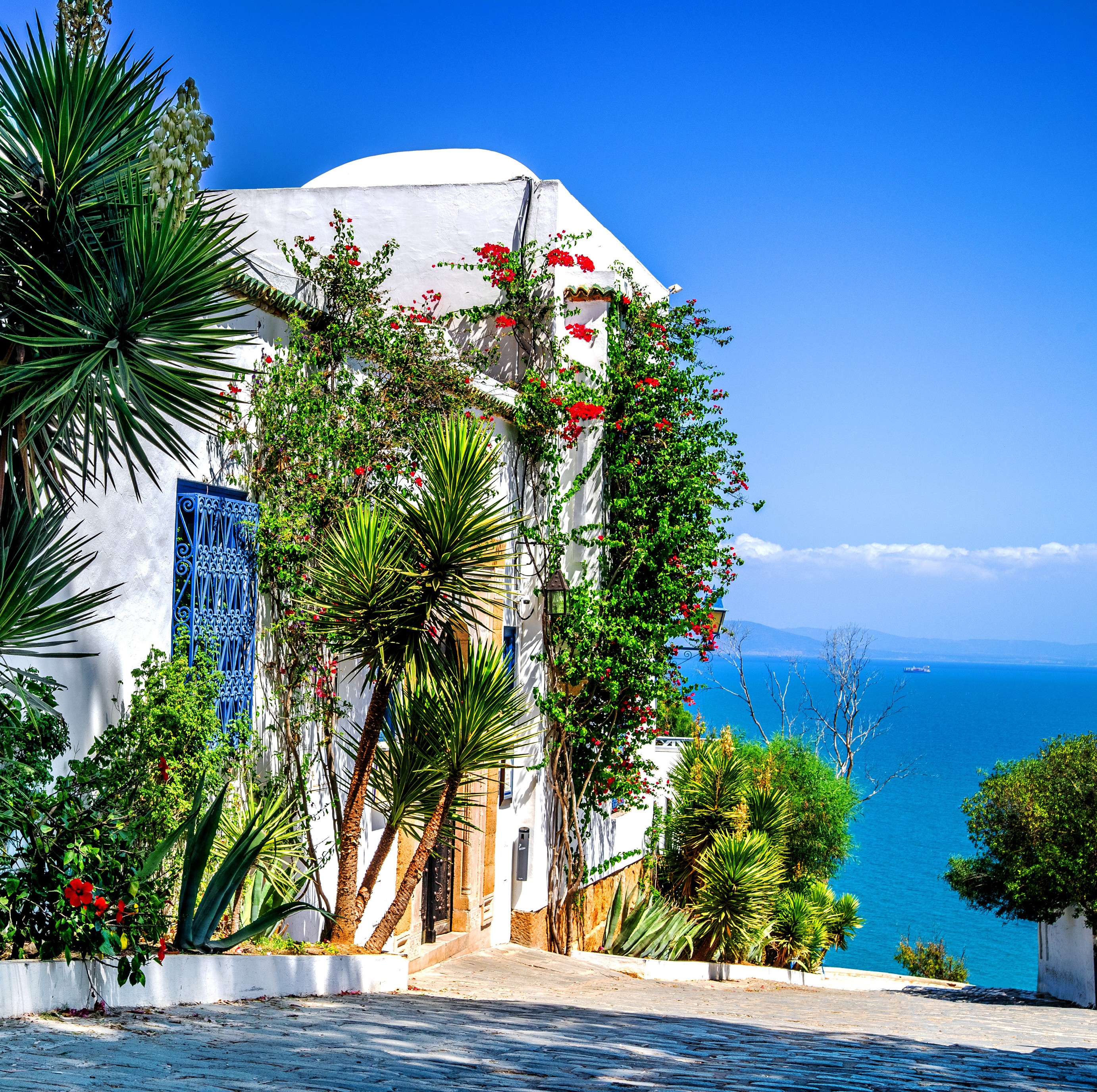 Vue d'une rue de Tunis en Tunisie