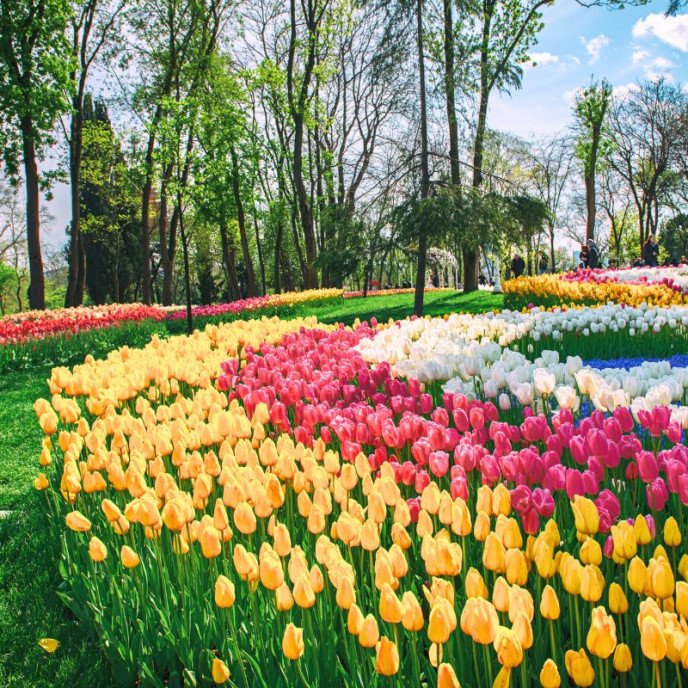 Parc Emirgan à Istanbul
