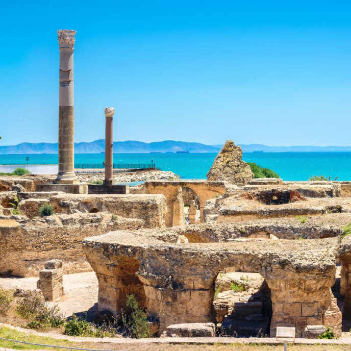 Le site archéologique de Carthage à Tunis