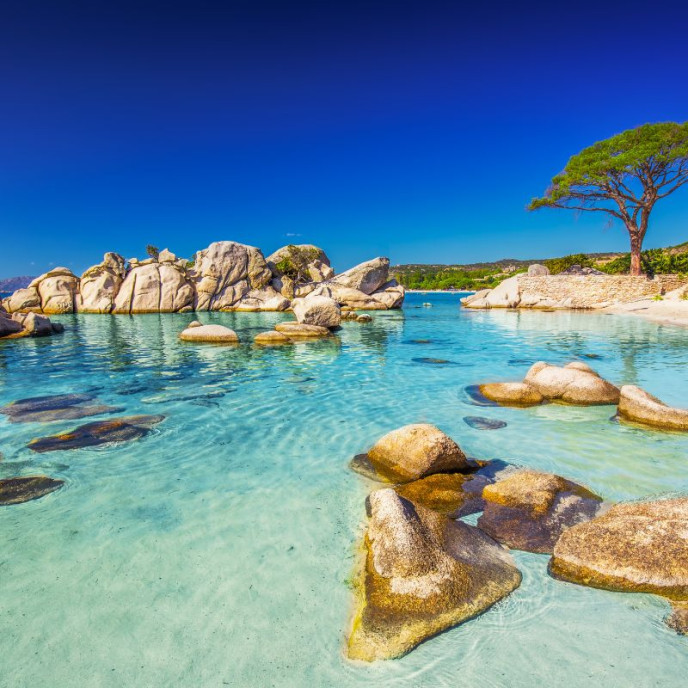 plage de palombaggia corse aeroport montpellier