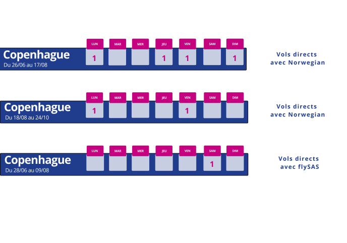 programme vol montpellier copenhague