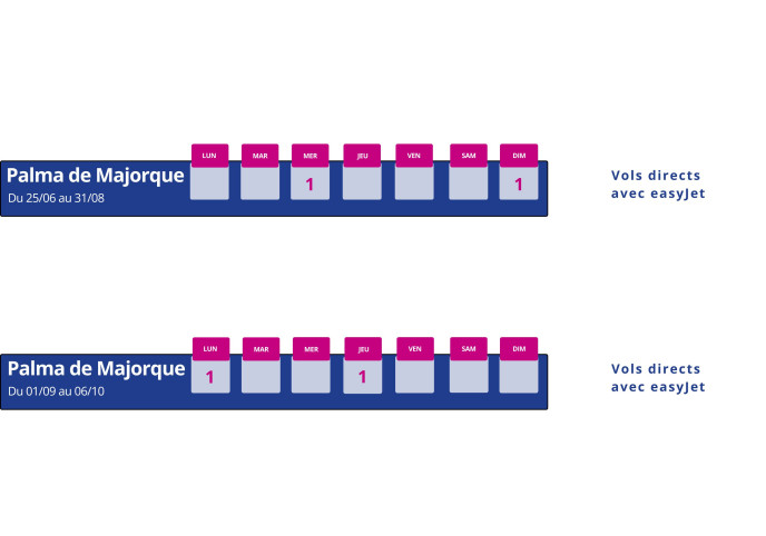 programme vol montpellier palma