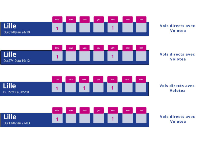 programme vol montpellier lille