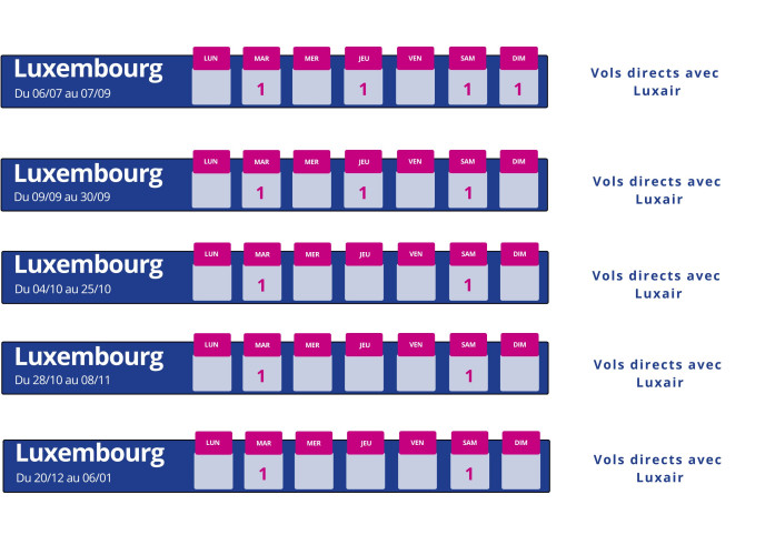 programme vol montpellier luxembourg