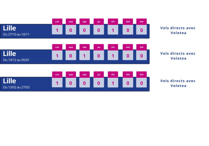 Programme des vols hiver 2025 Montpellier Lille