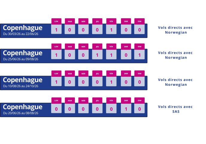 programme vol montpellier copenhague