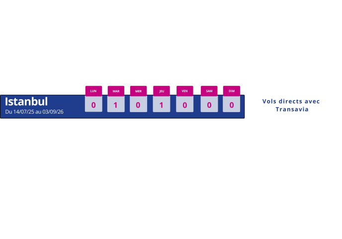 programme vol montpellier istanbul