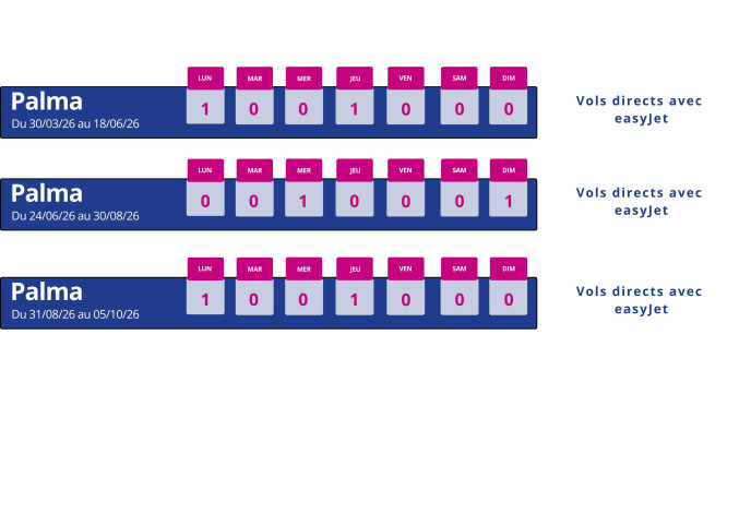 programme vol montpellier palma