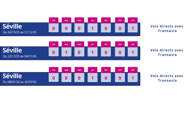 programme vol montpellier seville