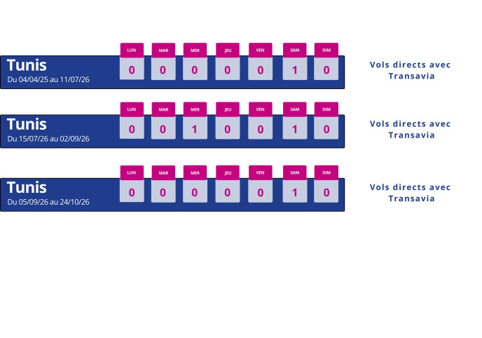 programme vol montpellier tunis